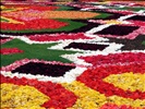 Floral carpet Brussels 2006